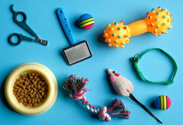 Accessories for cat and dog on blue background. Pet care and training concept. Flat lay, top view.