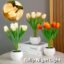f44b752e-d972-4c0d-8a47-9a49dd9d7fb7.jpg
